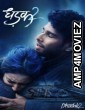 Dhadak 2 (2025) Hindi Movie